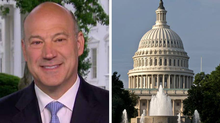 Trump economic adviser: Tax reform will get done this year