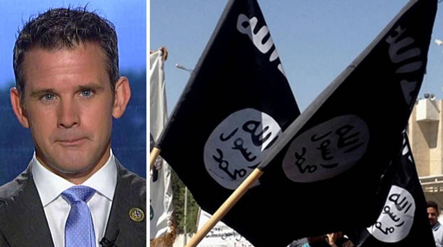 Rep. Kinzinger: ISIS is lashing out, US needs to double down