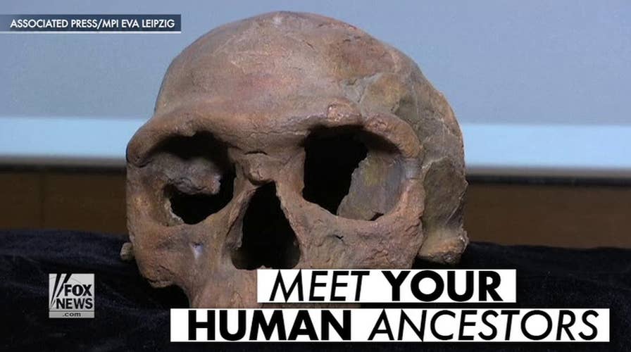 Scientists discover new fossils of oldest humans