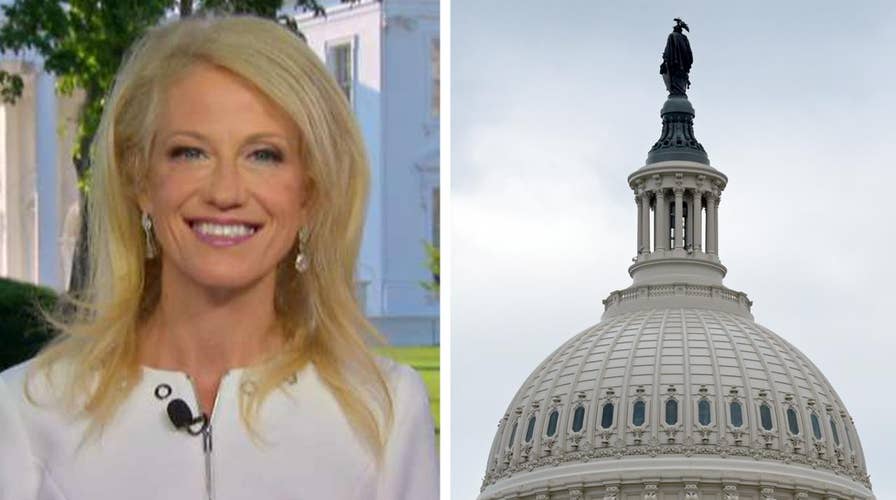 Kellyanne Conway: Dems guilty of obstruction of progress