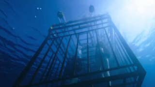 '47 Meters Down' stars talk scuba, survival and new film - Fox News