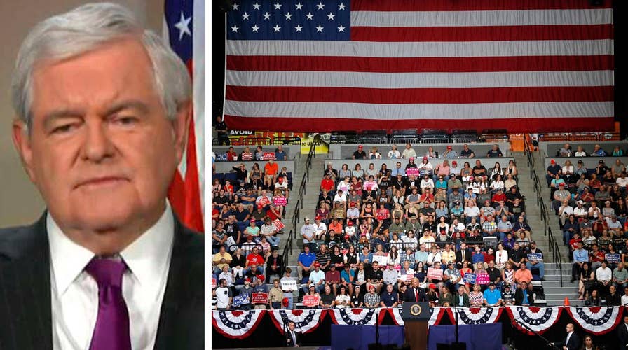 Gingrich: Trump doing better in America than in news media