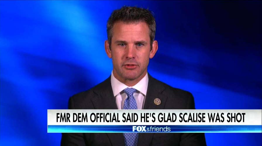 Kinzinger on Dem official, Scalise attack