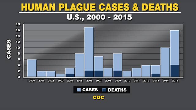 Two plague cases found in New Mexico