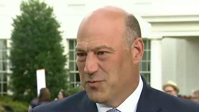 Ed Henry goes one-on-one with Gary Cohn