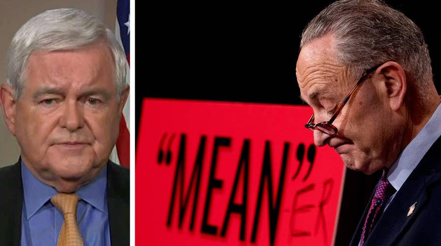 Newt Gingrich: Democrats lying about GOP health care bill