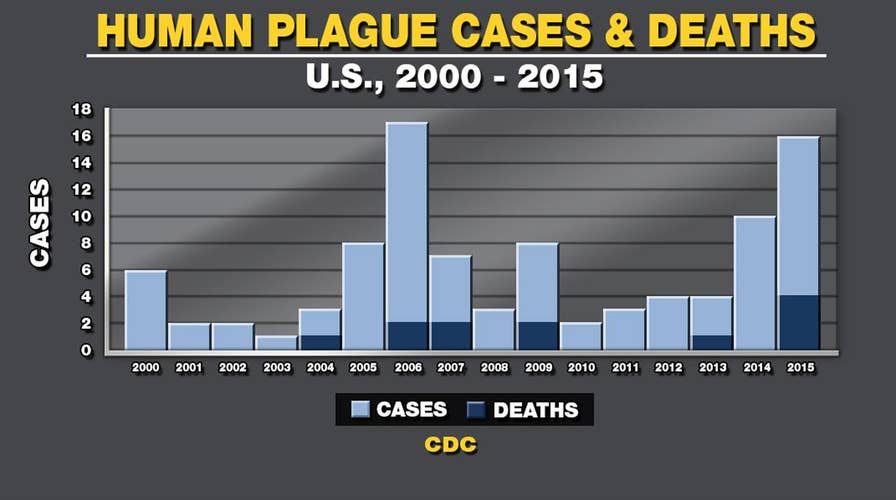 Two plague cases found in New Mexico
