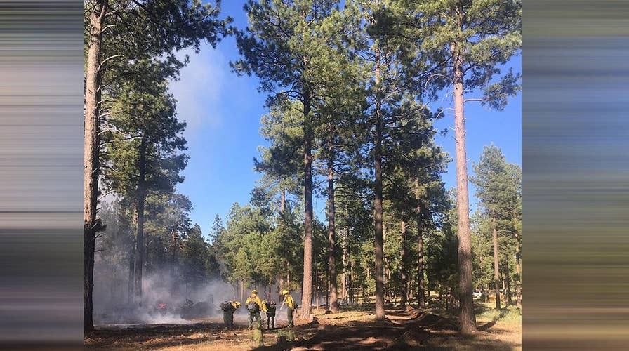 Drone interferes with Arizona wildfire response