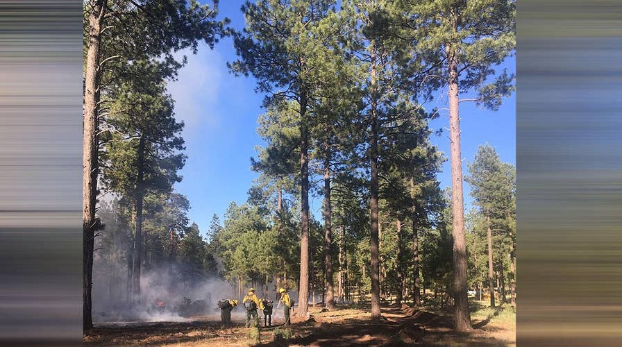 Drone interferes with Arizona wildfire response