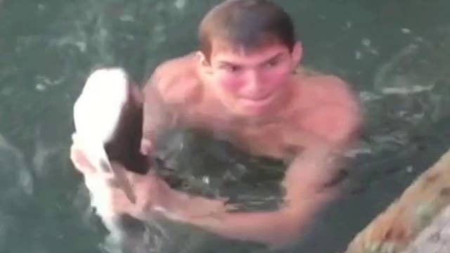 Man catching shark with bare hands caught on video