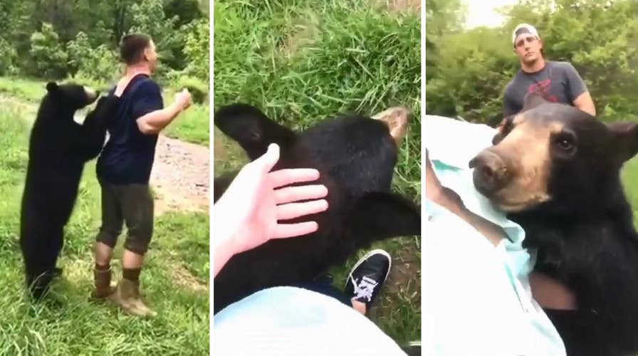 Don't try this at home: Campers chill with curious bear cub