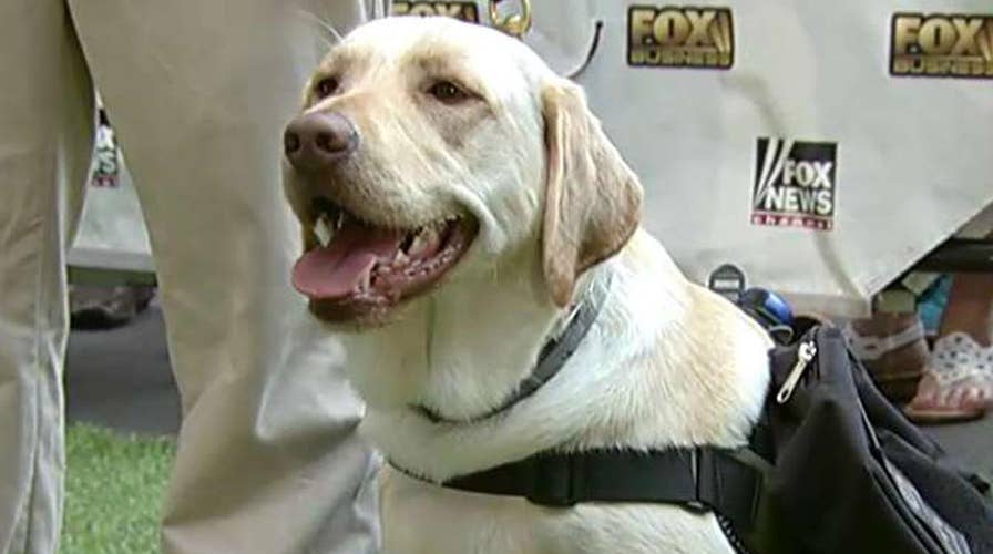 K9s for Warriors helps empower veterans