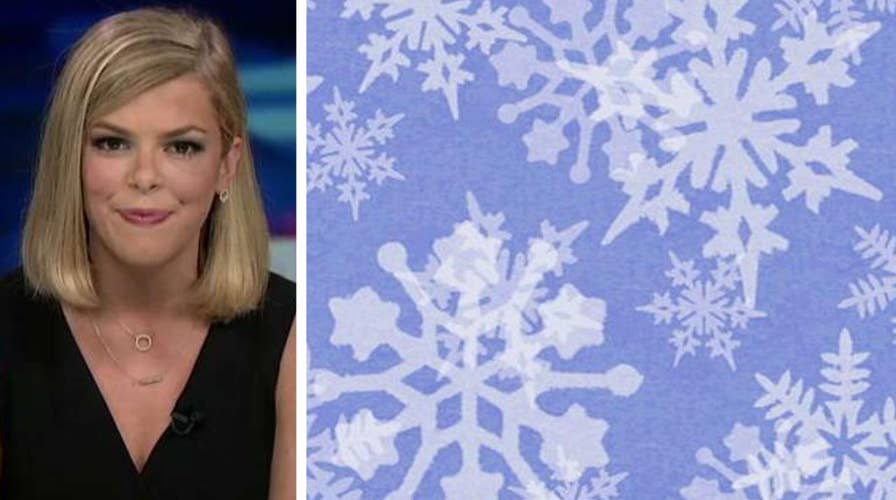 Conservative millennial breaks down 'signs of snowflakery'