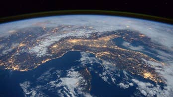 Scientists warn of 'biological annihilation,' say mass extinction event is currently happening on Earth