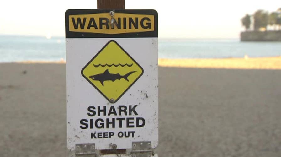 Shark attack partially shuts down popular Calif. beach 