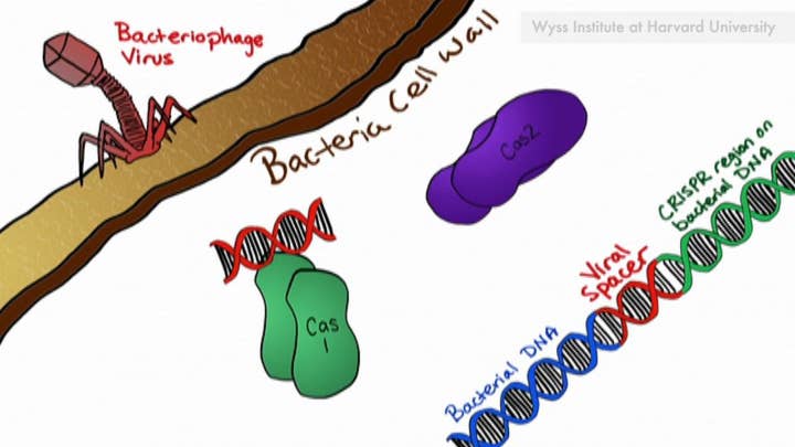 Movie encoded into DNA in scientific breakthrough