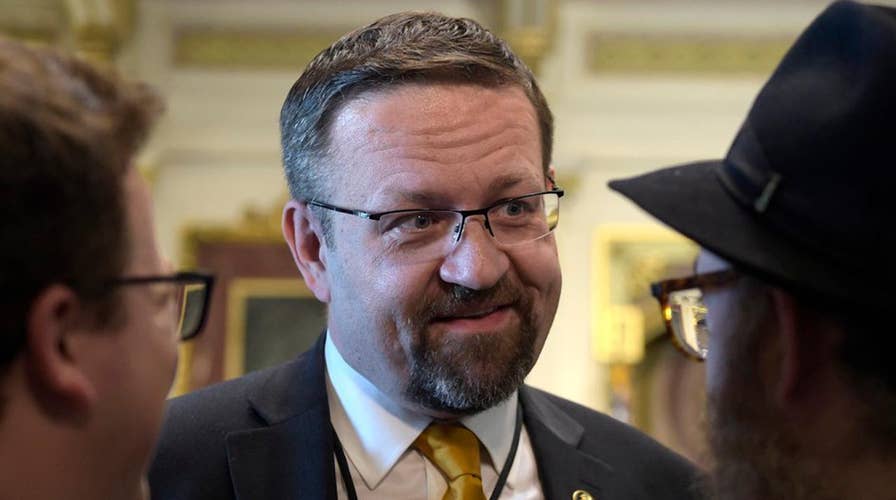Gorka mocks CNN ratings