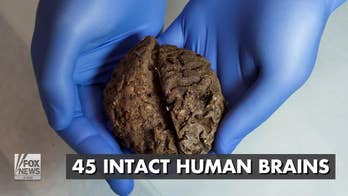 Grisly discovery in Spain: 45 intact shrunken brains found at mass grave