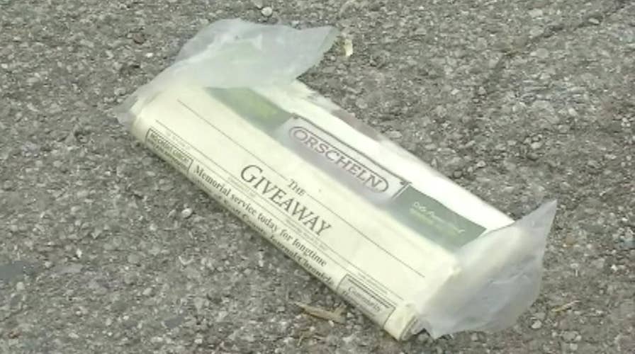 Bed bugs delivered in local paper?