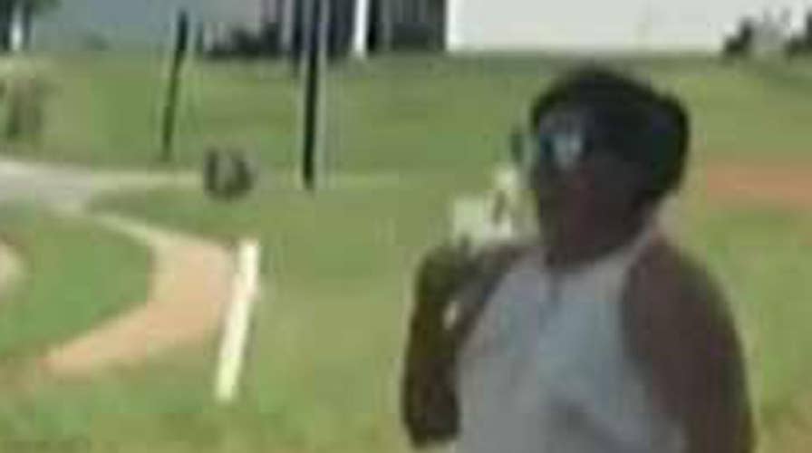 Baseball-themed gender reveal backfires