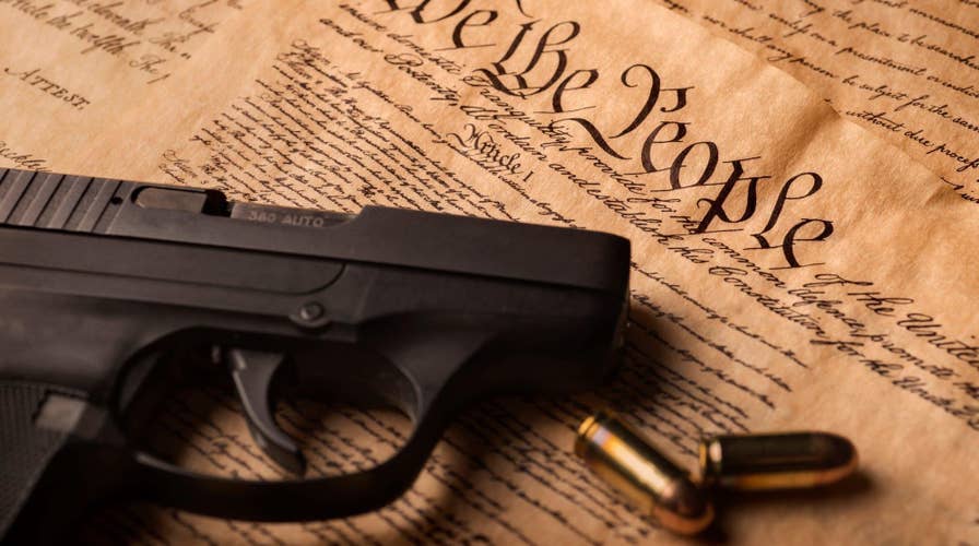 Starnes: Michigan foster parents forced to lose gun rights