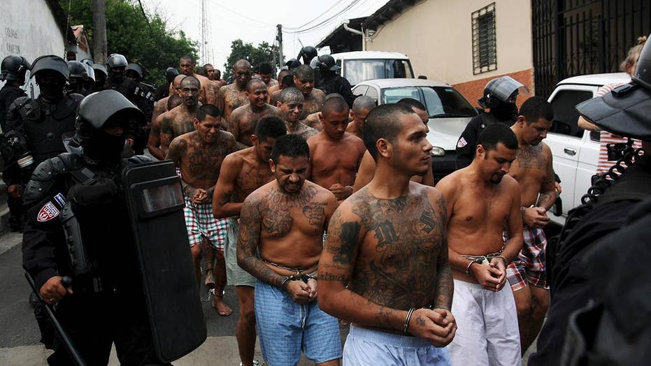 MS-13 crackdown severely reduces gang