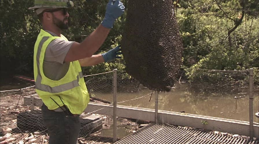 Cleveland area sewage makes its way into Lake Erie