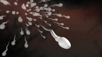 Men seeing drastic drop in sperm count, study claims