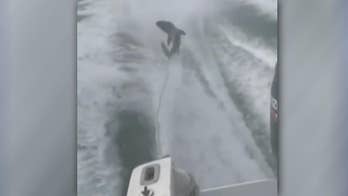 Florida Governor Rick Scott calls shark-dragging video 'incredibly disturbing'