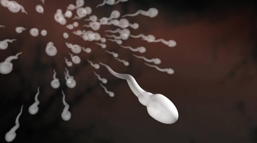 Men seeing drastic drop in sperm count study claims Fox News