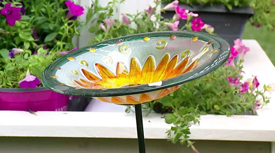 Mosquito myths: How to stay protected