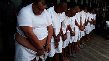 Media sympathizes with MS-13, lambasts Trump