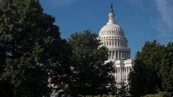 Dem states can defend ObamaCare subsidies, court rules