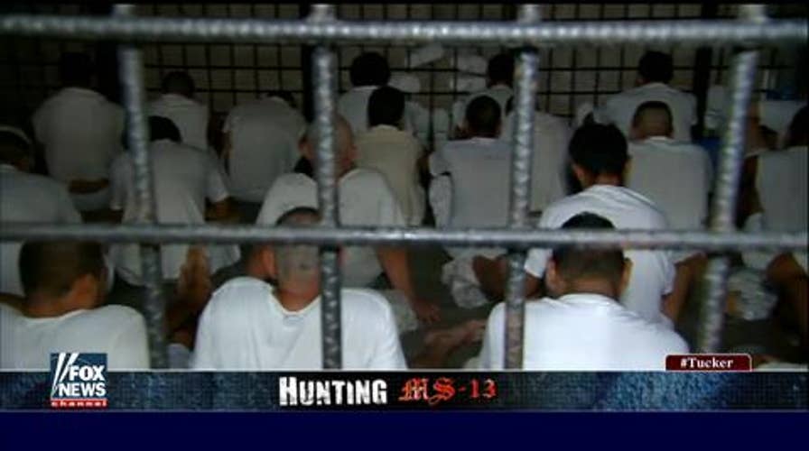 "Hunting MS-13" - all week on "Tucker Carlson Tonight."