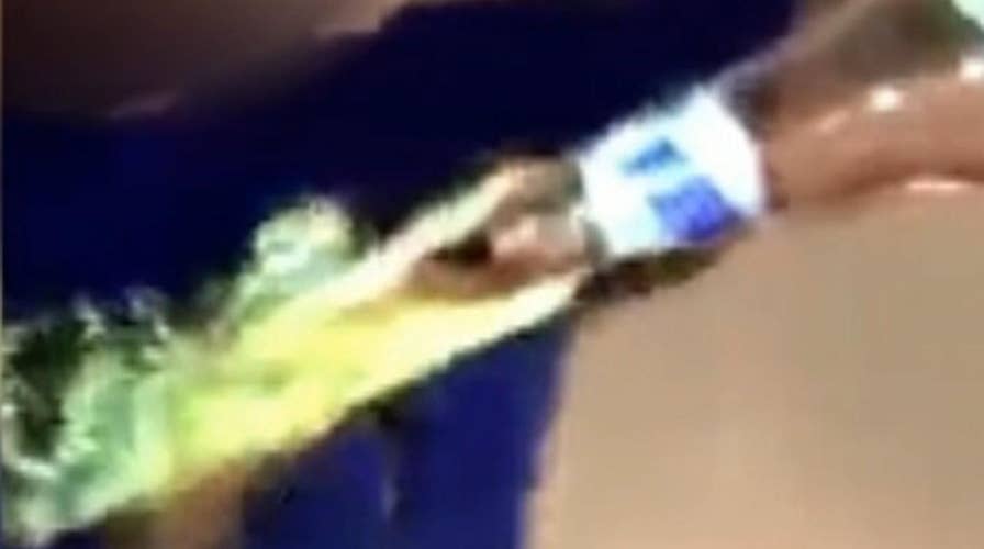 Outrage over video of alligators being abused, tortured