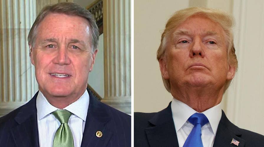 Sen. Perdue: Immigration bill is pro-worker and pro-growth