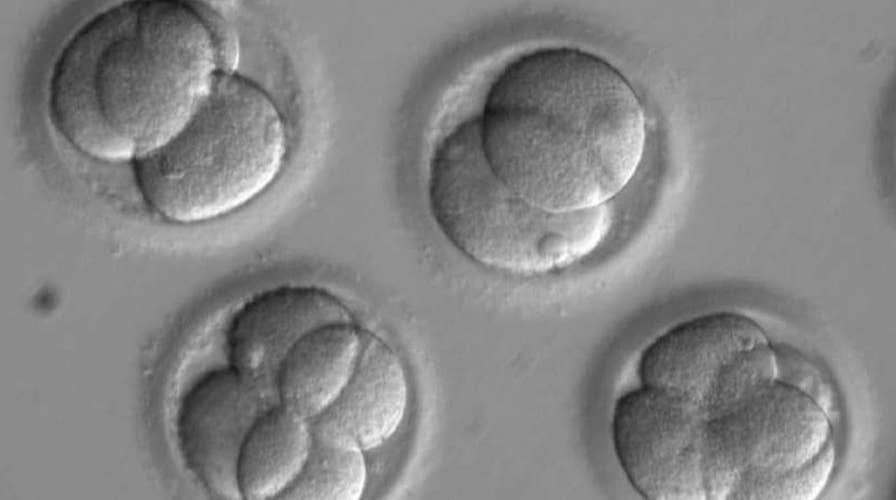Scientists edit DNA in human embryos