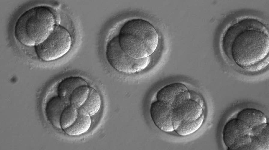 Should science be getting involved in embryo gene repair?