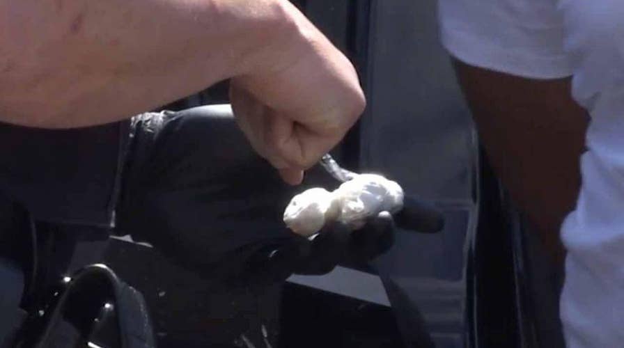 Opioid crisis sparks proposals in fight against epidemic