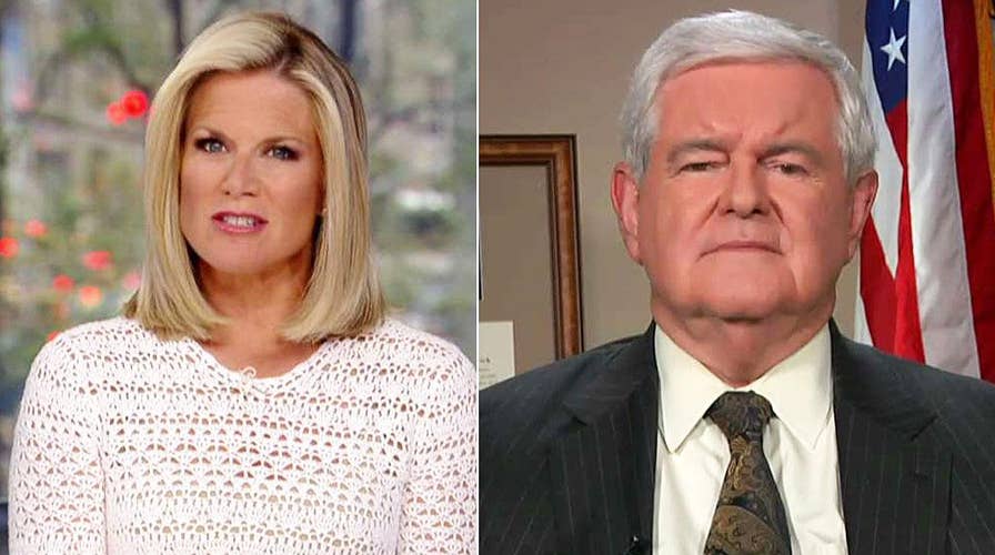 Newt Gingrich: We have a two-sided violence problem