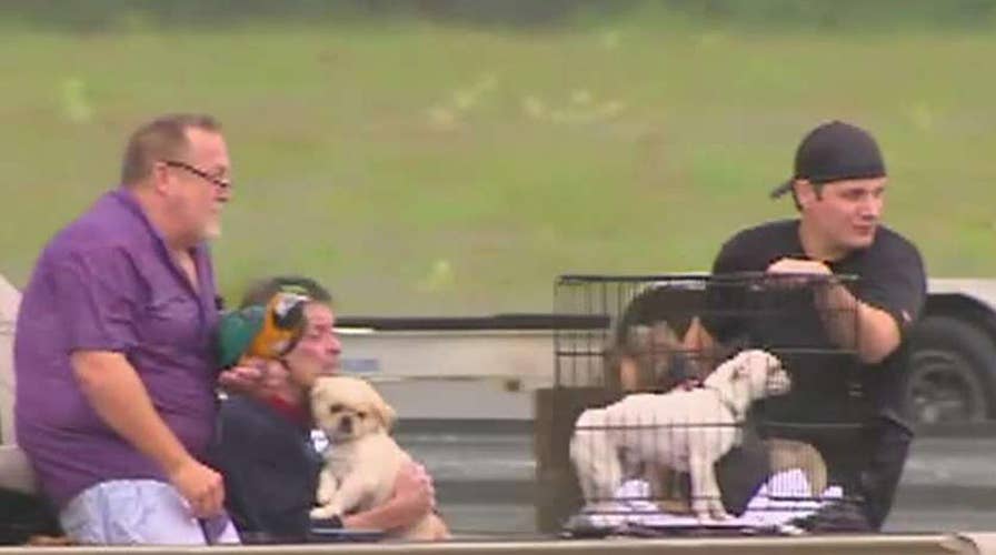Race to rescue stranded pets from Harvey's floodwaters