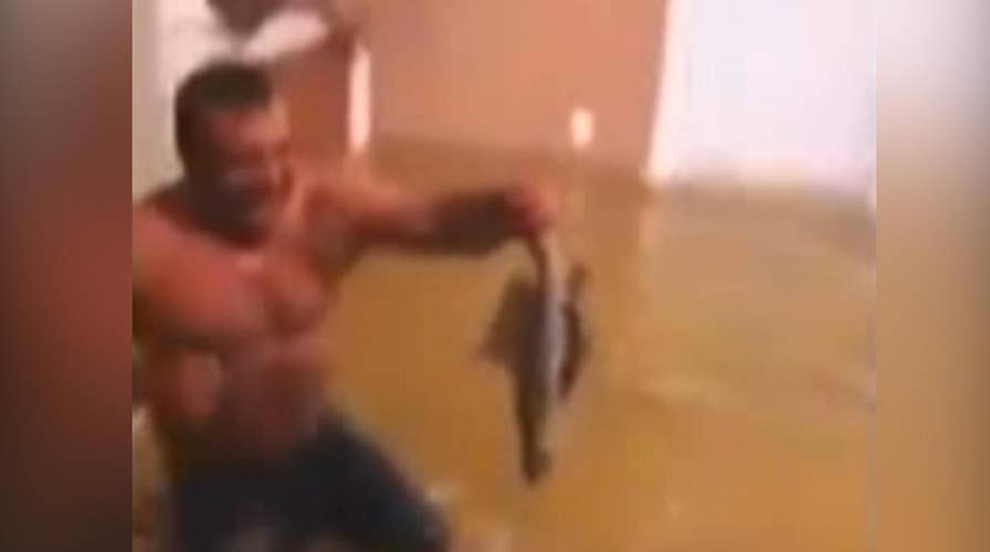 Houston Man Catches Fish In Living Room
