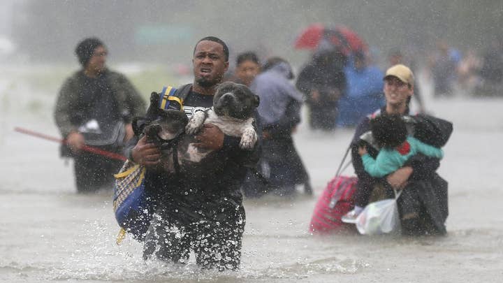 Hurricane Harvey: Animal rescues nationwide rally to help