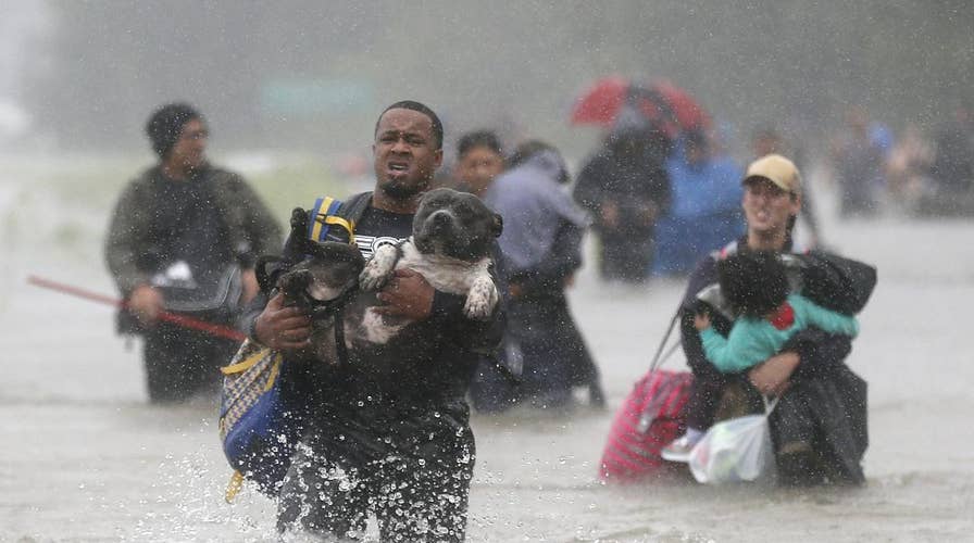 Hurricane Harvey: Animal rescues nationwide rally to help