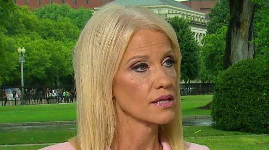 Kellyanne Conway: Trump struck by massive efforts in Texas