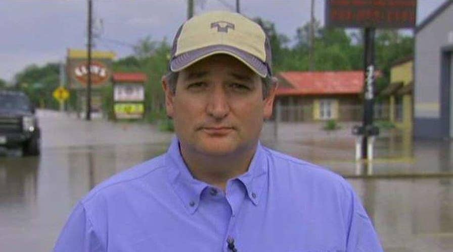 Sen. Ted Cruz: Texans are hurting and uniting