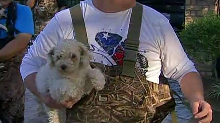 Pet rescue efforts under way in flooded Houston neighborhood