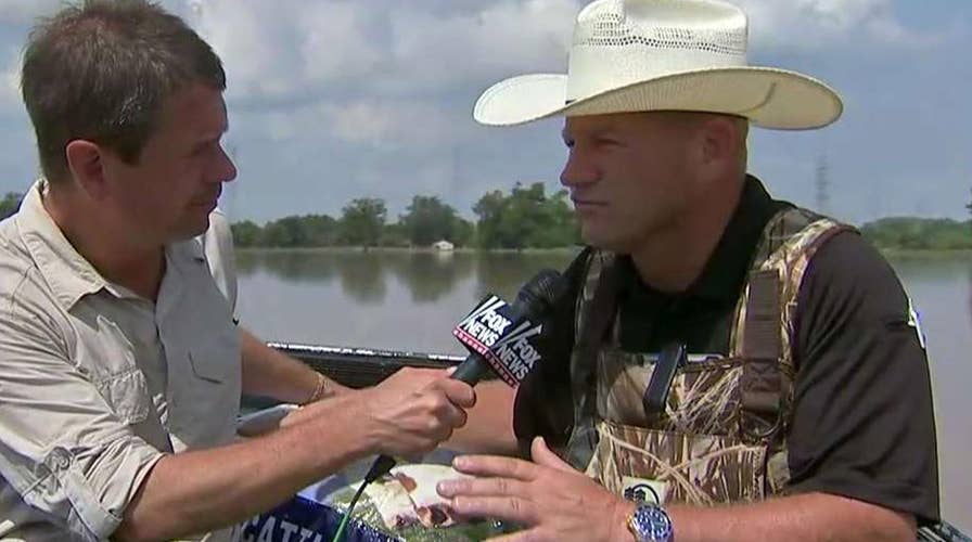 Fort Bend sheriff delivers feed to cattle stranded by flood