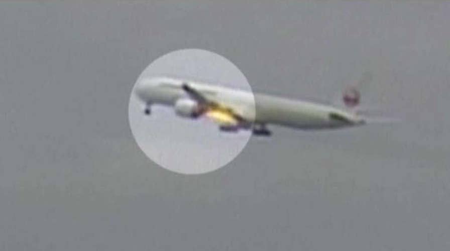 Jetliner makes emergency landing after bird strike
