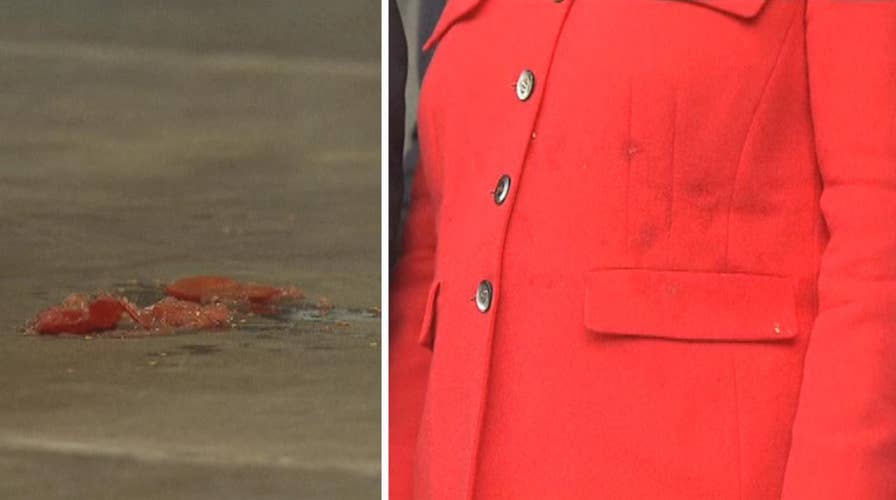 Merkel seemingly unfazed after getting hit by hurled tomato